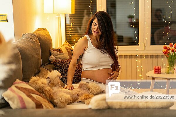 Schwangere glückliche Frau  die einen Hund streichelt  der nachts gemütlich zu Hause auf dem Sofa sitzt