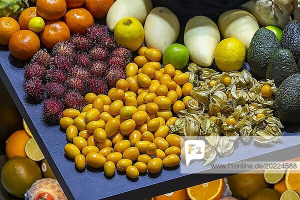 Exotische Früchte  Litchi  Jackfruit  Drachenfrucht  Mango und Zitrusfrüchte präsentiert auf einem Tisch  Deutschland  Europa