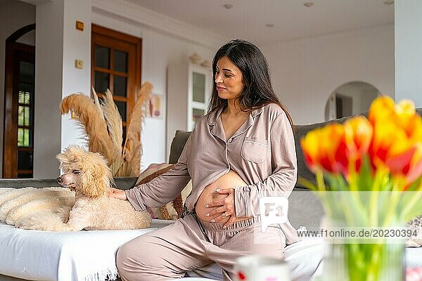 Schwangere Frau in bequemer Kleidung streichelt einen Hund auf dem Sofa sitzend an einem sonnigen Tag