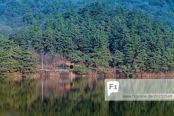 Ruhiger See  in dem sich ein dichter Wald aus immergrünen Bäumen spiegelt  in Südkorea