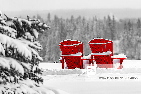 Two brightly coloured red Adirondack chairs snow-covered  against a snow-covered scene with an evergreen hillside in the background; Calgary  Alberta  Canada