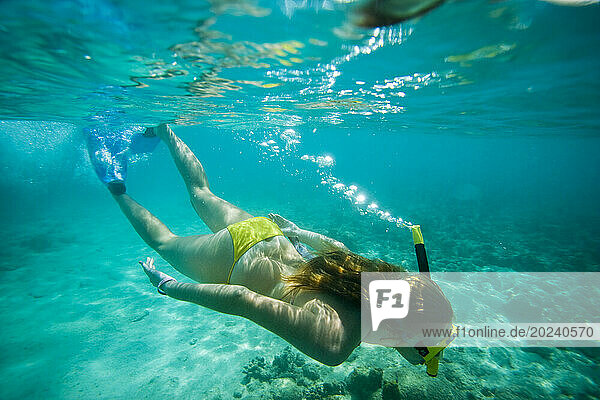 Teenage girl snorkeling in a yellow bikini; Country of Aruba