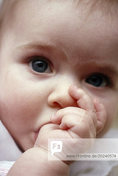Close view of a baby sucking her thumb; Mystic  Connecticut  United States of America