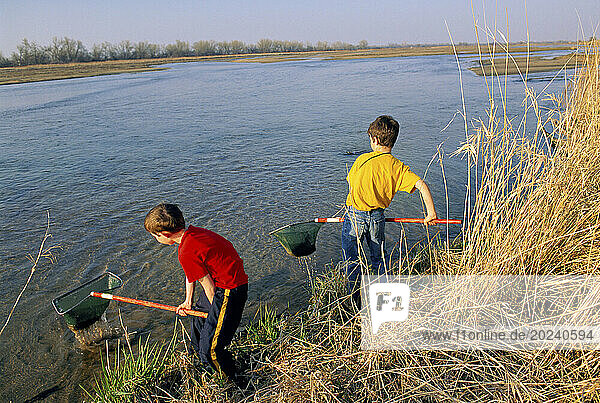 Two young boys with nets exploring a waterway; Gibbon  Nebraska  United States of America