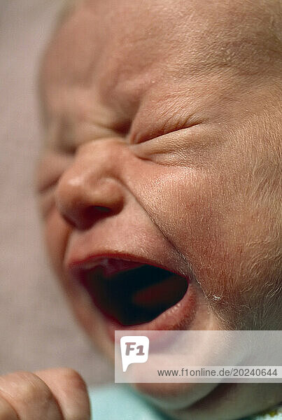 Close up of a crying newborn baby's face; Mystic  Connecticut  United States of America