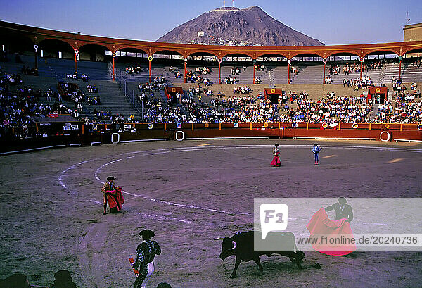 During October Festival of Bullfighting for the Lord of the Miracles  hundreds of spectators gather to critique the finesse of both red-caped matadors and bovine competitors. Plaza de Acho is Peru's oldest bull ring is located in a Lima suburb under the towering Cerro San Cristobal mountain; Rimac  Lima  Peru