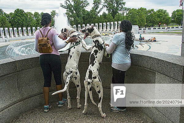 Sisters walk their great danes through a World War II Memorial; District of Columbia  United States of America