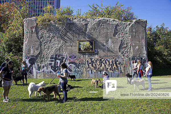 Pet owners spend time outdoors with their dogs at a canine club along the Dequindre Cut in Detroit  Michigan  USA; Detroit  Michigan  United States of America