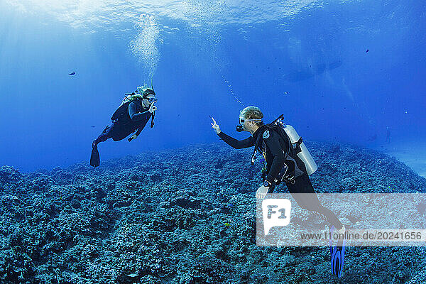 Dive instructor-guide checks with his diver over a reef at Molokini Islet off Maui  Hawaii  USA; Hawaii  United States of America