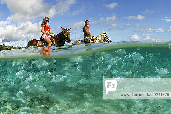 Split view of a couple on horseback and fish in the ocean water. These chub (Kyphosus bigibbus) are concentrated in the lagoon in front of the Rarotongan resort where they are fed daily. This split scene was shot with a full frame fisheye lens; Rarotonga  Cook Islands