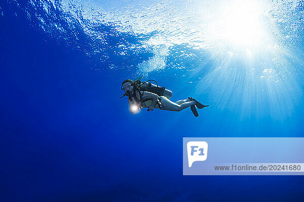 Diver with a light and sun rays shining down through the surface off the island of Maui  Hawaii  USA; Maui  Hawaii  United States of America