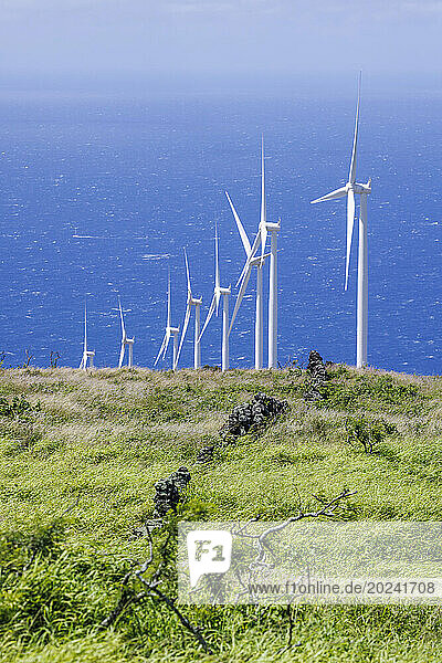 Remains of an ancient stone wall stand in front of the Auwahi Wind Turbines on the southeast coast of Maui  Hawaii  USA; Maui  Hawaii  United States of America