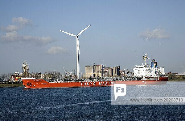 Schifffahrt  Nieuwe Waterweg  Schiffskanal zwischen Maasluis und Hook of Holland  Niederlande  Europa