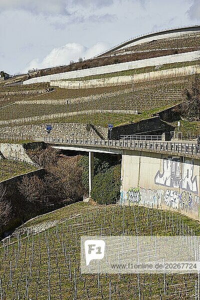 Terassen zum Weinbau und die Hauptstraße 12 Richtung Jongny im UNESCO Welterbe Weinberg-Terrassen von Lavaux bei Corsier-sur-Vevey  Bezirk Riviera-Pays-d'Enhaut  Waadt  Schweiz  Europa