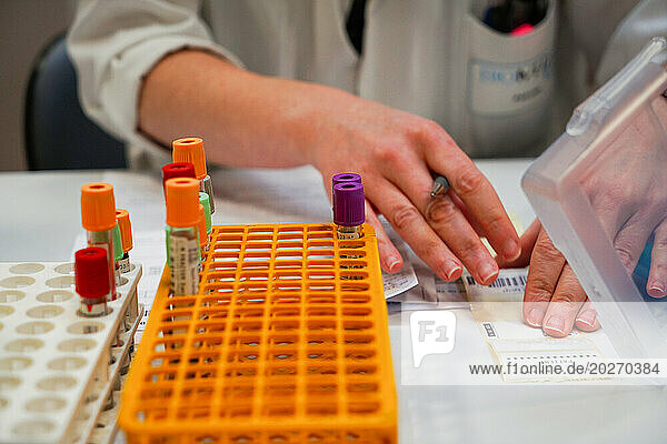 Technical platform of the Inovie 34 laboratory . Receipt of the boxes containing the blood tests brought to the laboratory by the nurses. The technician dispatches the tubes in racks according to the analyzes to be performed.