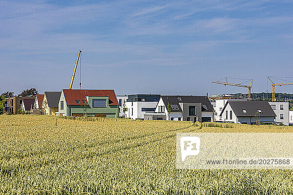 Germany  Baden-Wurttemberg  Ludwigsburg  New development area with field in foreground