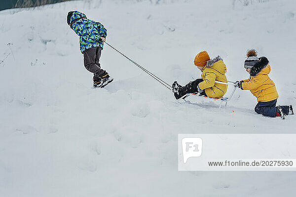 Happy siblings sledding on snow in winter