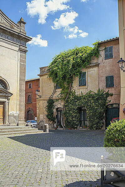 Italy  Lazio  Tuscania  Exterior of overgrown town house in summer