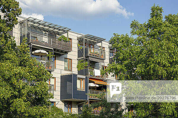 Green balconies on modern apartment building in Munich  Bavaria  Germany