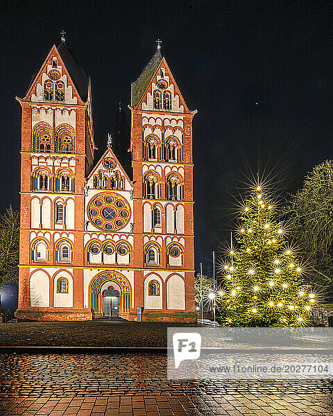 Germany  Hesse  Limburg an der Lahn  Christmas tree glowing in front of Limburg Cathedral at night