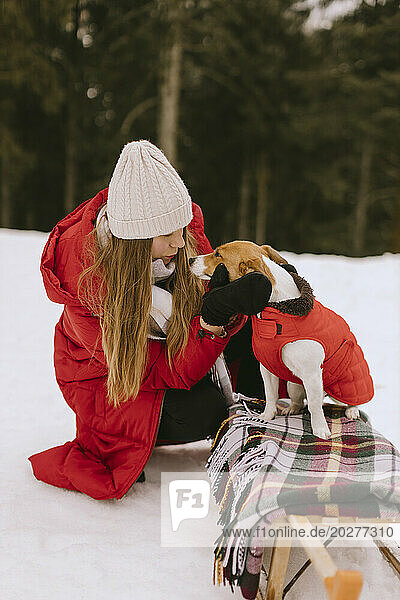 Woman petting dog sitting on sled in winter forest