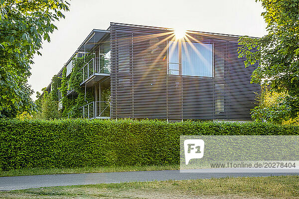 Green building in Munich  Bavaria  Germany on sunny day
