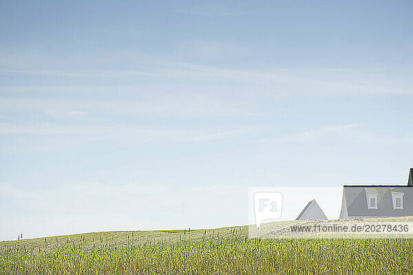 House roof visible beyond grassy hill  Nashville  Tennessee  USA