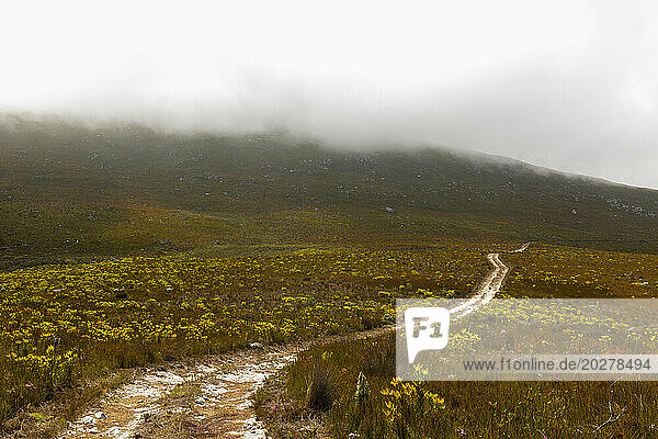 South Africa  Hermanus  Fernkloof Nature Reserve landscape and trail