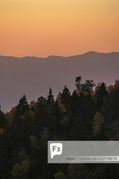 Usa  New Mexico  Santa Fe  Forest and Sangre De Cristo Mountains at sunset