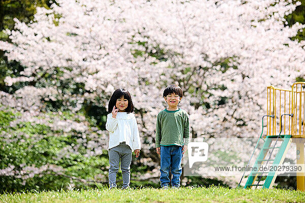 Two children standing in front of a tree with pink flowers