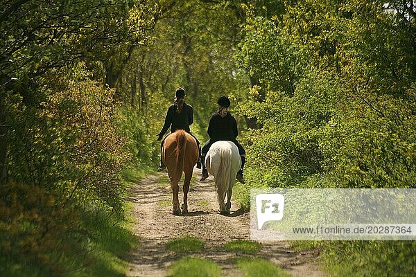 Zwei Mädchen auf Pferden auf einem idyllischen Feldweg