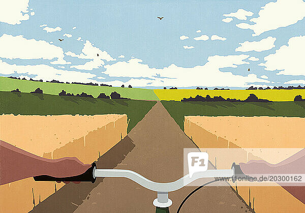 POV man bike riding on country road among farm crops in idyllic countryside