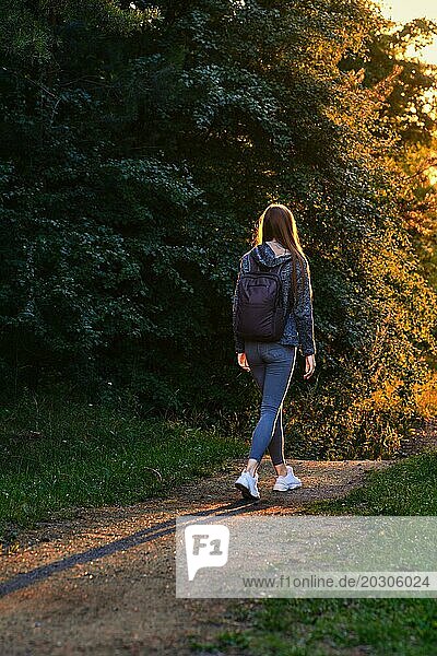 Rückenansicht einer Frau Tourist geht entlang Waldweg in Strahlen des Sonnenuntergangs