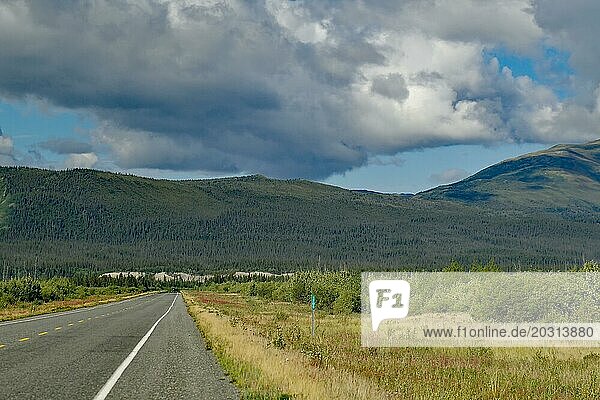 Endlose Straße  mit einzelnem Wohnmobil  Wald  Wildnis  Alaska Highway  Yukon Territory  Kanada  Nordamerika
