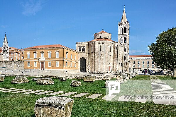 The Roman Forum with archaeological finds  Forum of Zadar  behind the church of St. Donatus  Church of St. Donat  Church of St. Donat  behind the bell tower of Zadar Cathedral  Cathedral of St. Anastasia  Sveti Sto?ija  historical centre  Zadar  Dalmatia  Croatia  Europe