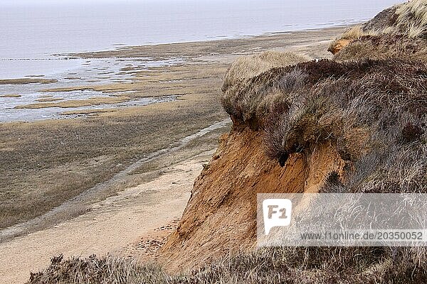 Morsum cliff on Sylt
