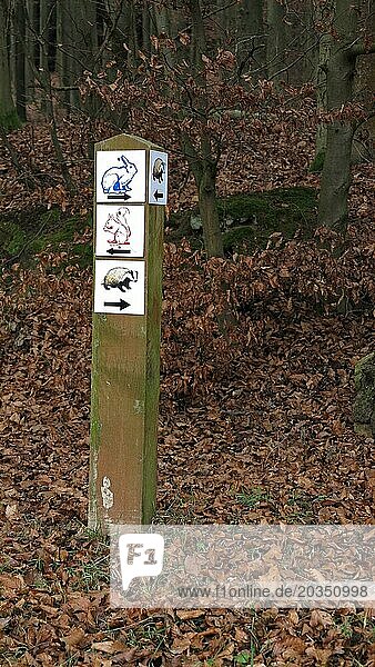 Animal hiking signpost