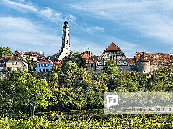 Ausblick auf die historische Altstadt mit Stadtmauer  Rathausturm und Weinberg  Rothenburg ob der Tauber  Mittelfranken  Bayern  Deutschland  Europa