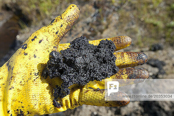 Hand full of tar sand  Fort McMurray  Alberta  Canada