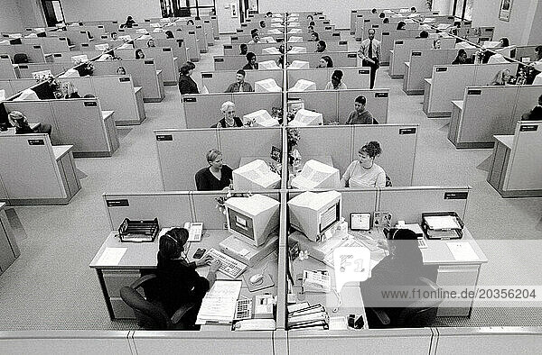 View of a large office with individual cubicles.