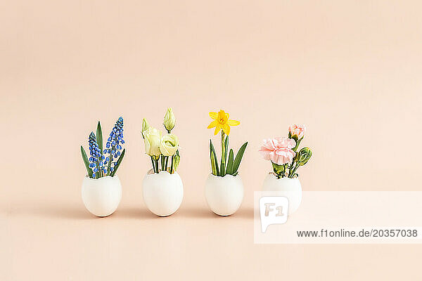 Spring flowers in egg shell pots.