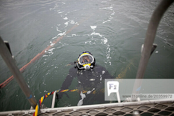 Tribal diver emerges from the depths and climbs back onto the vessel after harvesting geoducks for about an hour in Puget Sound near Suquamish  Washington