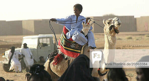 A Toureg child rides atop his camel  Gao  Mali  West Africa