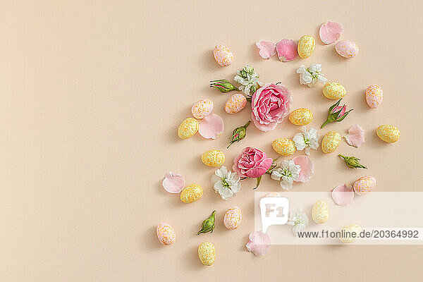 Easter Eggs and Flowers on Pastel Background