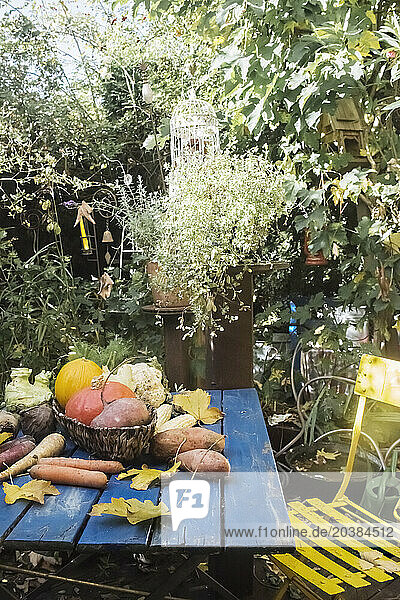 Vegetables lying on garden table