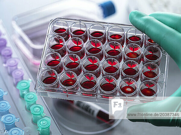 Scientist holding multi well plate at laboratory