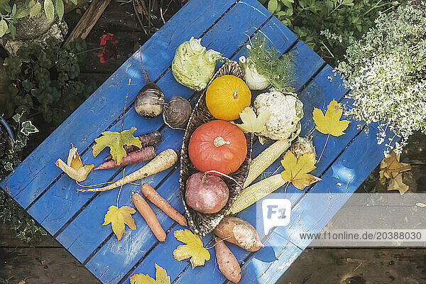 Vegetables lying on garden table
