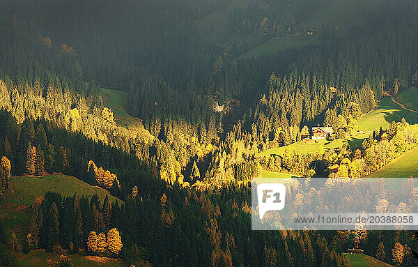 Austria  Salzburger Land  Flachau  Forested mountain valley at autumn dusk