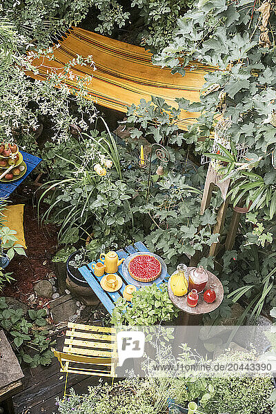 Austria Â SalzburgerÂ Land Â AltenmarktÂ imÂ Pongau Â Pie and drinks on table in lush summer garden