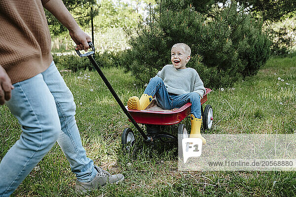 Playful son riding in toy wagon with father at back yard